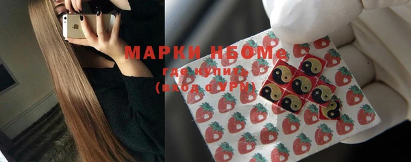 apvp Козельск