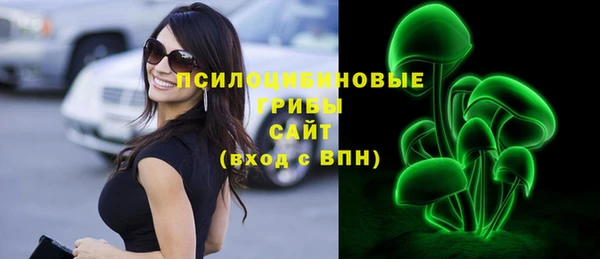 гашик Козловка