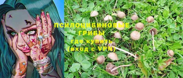 метадон Киреевск