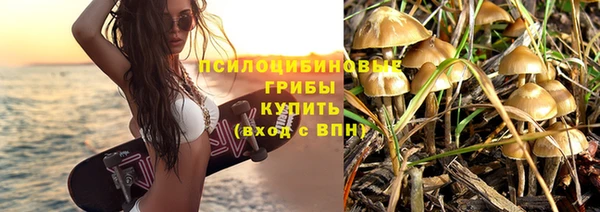 таблы Кодинск