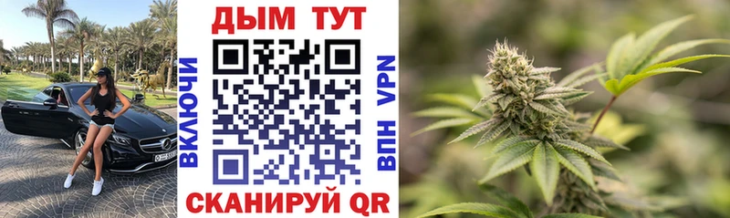 Купить где  Дмитровск  Шишки марихуана THC 21% 